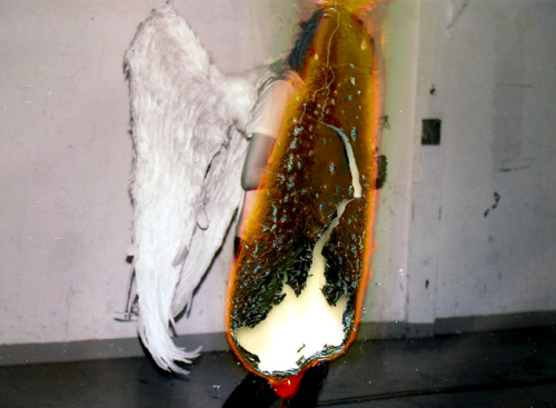 clavicola:  Lucas Simoes, Nostalgia, 2009 