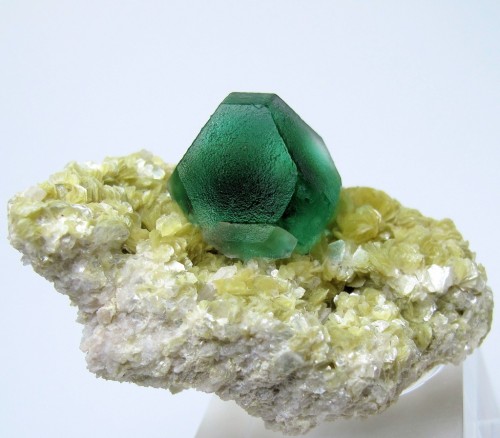 sarahmagdalena:Fluorite with Muscovite.