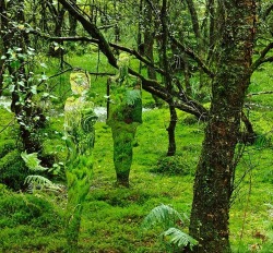 worsethanqueer:  tentaclesandteacups:   Forest Blending Acrylic Glass Statues Imagine walking through a forest and seeing just a glimpse of these invisible figures! They’re the creative work of artist Rob Mulholland, who makes these sculptures out of