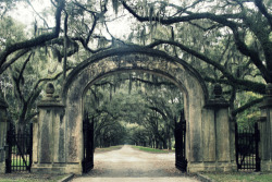 bluepueblo:  Spanish Moss Gate, Isle of Hope, Georgia photo via seersucker 