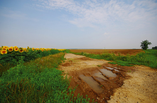 Goodbye Baranja by roksoslav on Flickr.