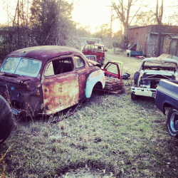 Cars just chillin outside my shop