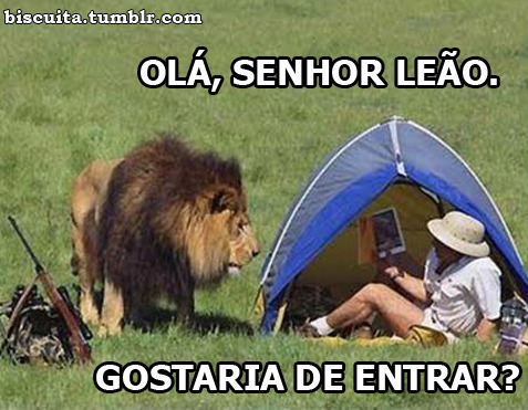 Paraiso do Riso