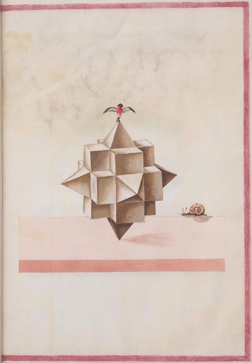 prostheticknowledge:  16th Century Geometric Perspective Illustrations Found at BibliOdyssey, a collection of mathematical illustrations found in an obscure paper manuscript.  The album of geometric and perspective drawings (Codex Guelf 74. 1. Aug. fol.)