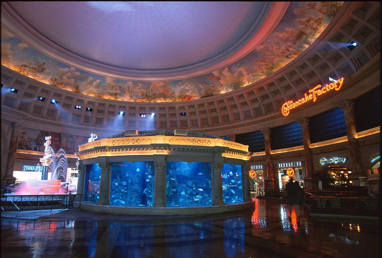 the forum shops at