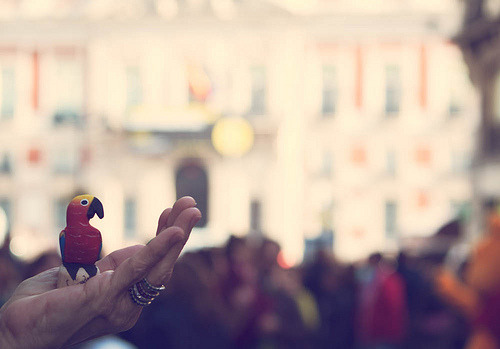 shinyweather:  Week 4:52 - El Lorito en Plaza del Sol by Irene Ruscalleda 