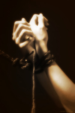 wolfsgrace:  bound, rope