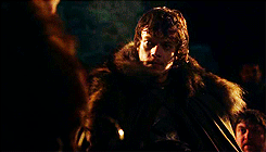 greyjoyofpyke:  And Robb. Robb who had been more a brother to Theon than any son