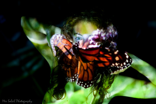 Butterfly Beauty. ©Mer Soleil Photography 2012
