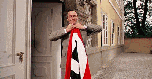 bacon-and-liberty-for-all:  Reblogging again because you can never have enough Nazi flag ripping on your blog. 