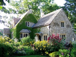 This Ivy House