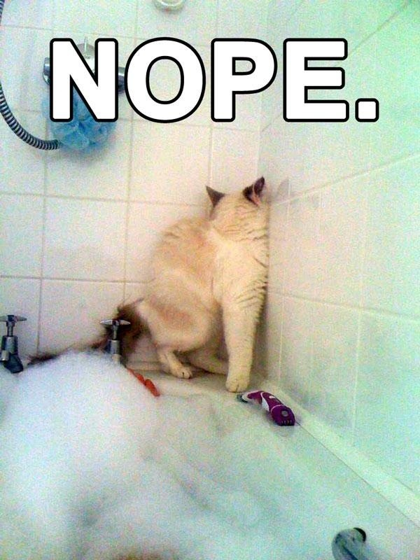 catp0rn:  omg cant stop laughing 