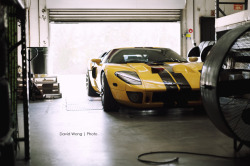 dillyshouts:  GT40 | Sunbathing Rear End