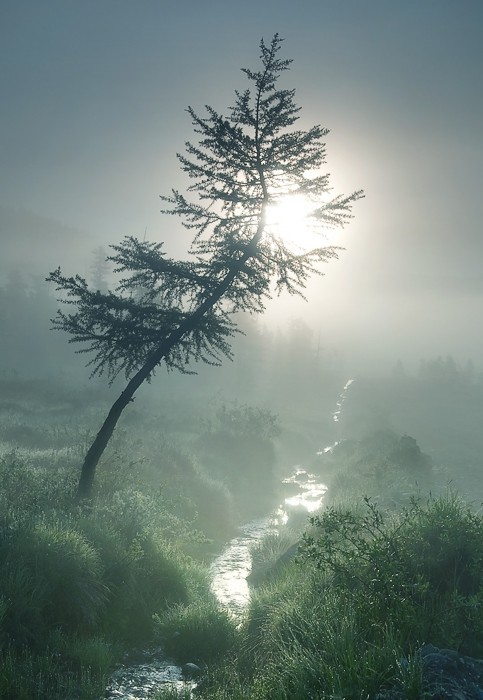 orionfalls