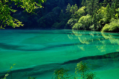 furples:  Panda Lake (by sunfishandbluecrabs) 