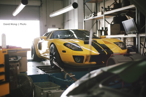 dillyshouts:  GT40 | Dyno Run by D.Wong - Dilly on Flickr.  