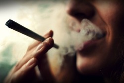 smoking-dope-nigga:  Check out Smoking-Dope