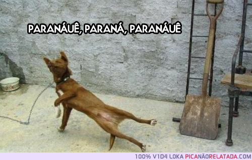 PICA NÃO RELATADA
