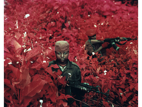 theories-of:  Richard Mosse-Vintage Violence, North Kivu, Eastern Congo, 2011 