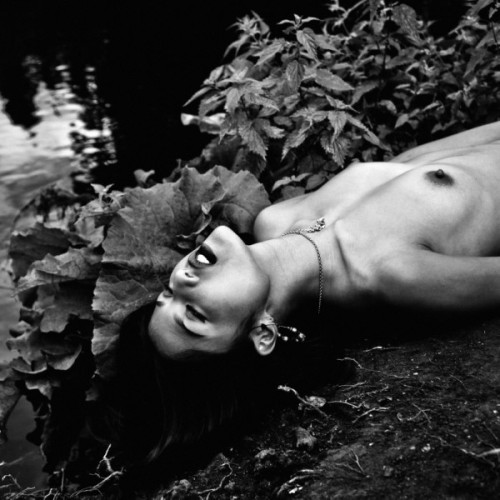 intimationsss.tumblr.com/post/57546686191/