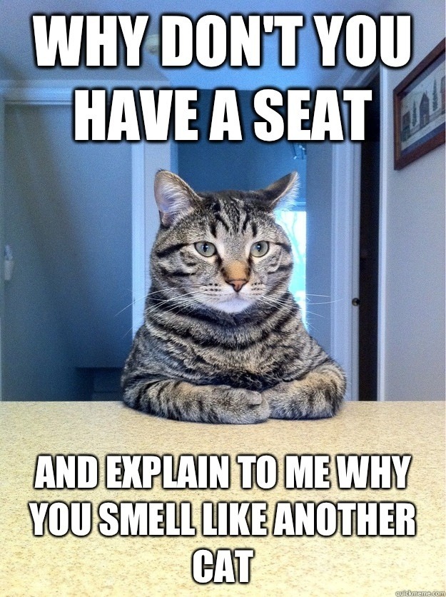 thatfunnyblog:  Funny Stuff you like?