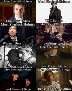 steveholtvstheuniverse:  sketchlock:  songofages:  sherlockismyholmesboy:  16minutesleft:  Sherlock Holmes.  Allow me to add a few more~   THANK YOU   (figured I should add this.)   y’all forgot one 