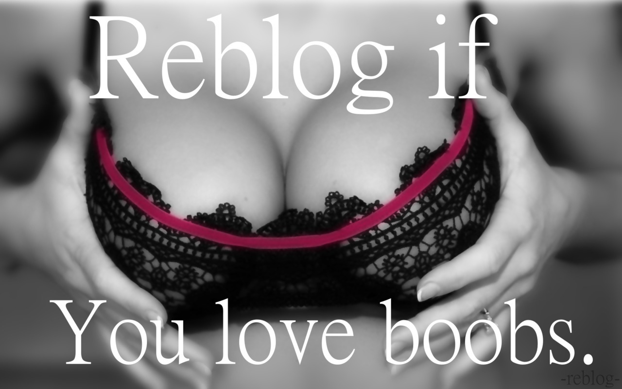 alphamachine:  tigerskitten:  Who doesn’t?   exactly… saying “i hate boobs”