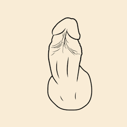 theprepuce:  Male Anatomy GIF 01. | TheMany parts of the male genitals. Descriptions written by Uncutting: Scrotum - The sack that holds the testicles. Shaft skin- The lowest skin on the penile shaft, that can’t be categorized as foreskin. Outer foreskin-