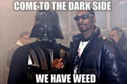 followedhomethenkilled:  childrenofthegrave:  Vader knows..   @thatmetalbitch