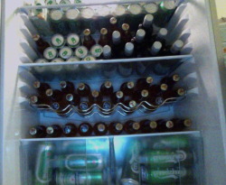 This Is My Fridge. Playing Up The Irish Stereotype No Big Deal.