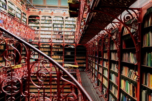 teachingliteracy:(by Ramiro Navajas)Library of the Dutch parliament.