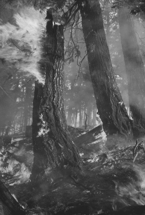 thingsanotherworld.tumblr.com/post/20827742526/