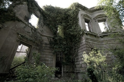 More of Baron Hill - The Lost Mansion in the Anglesey Woodland