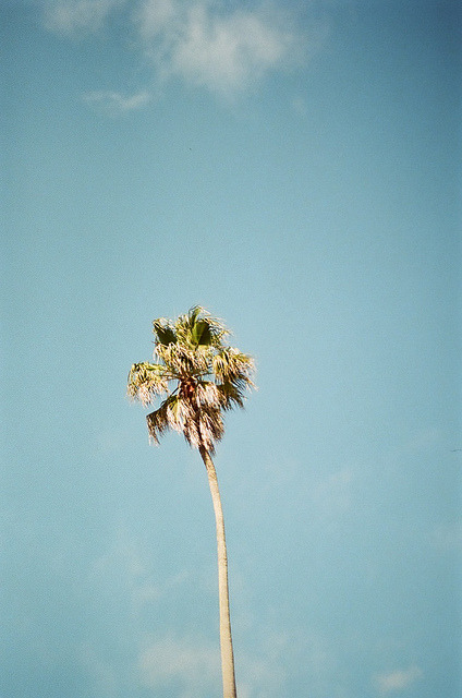 Max Reynders