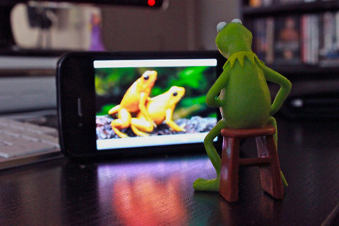 fashionofthechrist:  Froggy style 