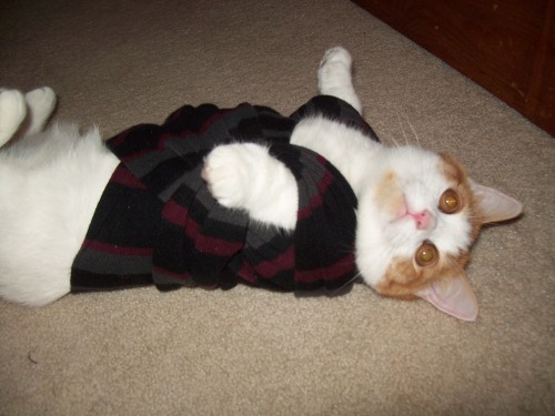 Sweet Mish