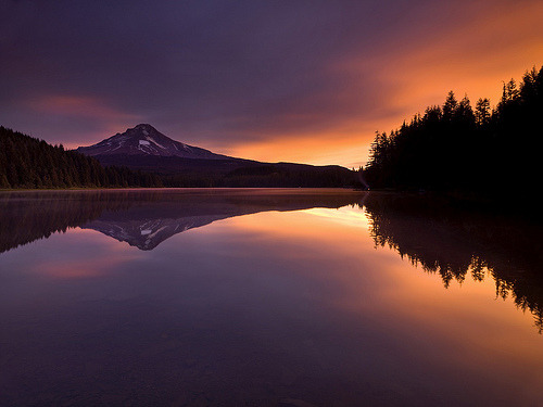 vendemiaire:  Trillium Lake Sunrise (by peterspencer49) 