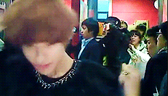 kimchiramyunn:  Adorkable Taekey 
