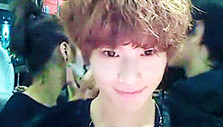 kimchiramyunn:  Adorkable Taekey 