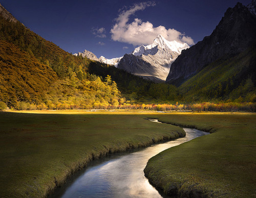 by AndersonImages on Flickr.A beautiful cold stream running through the meadows of Tibetan Himalayas