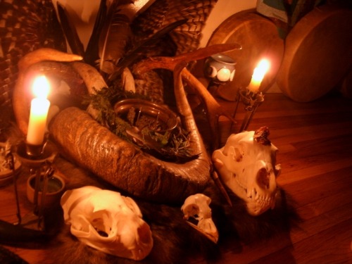 thedeerandtheoak:Altar at the Full Worm Moon - The Witch of Forest Grove
