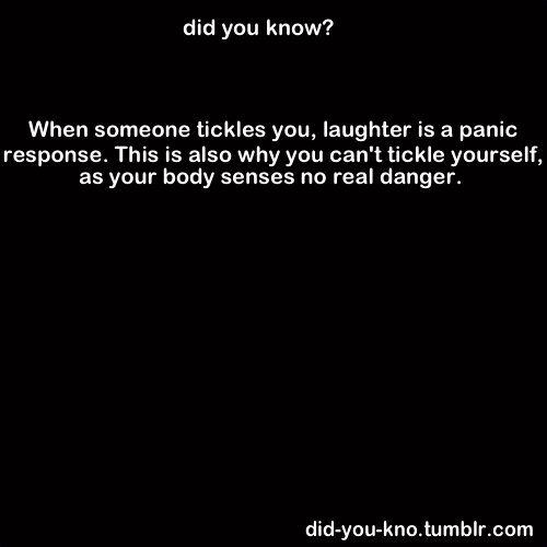 did-you-kno:  Source 