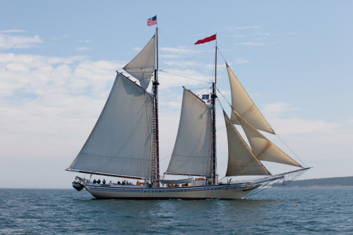 schooner heritage  paul danehower