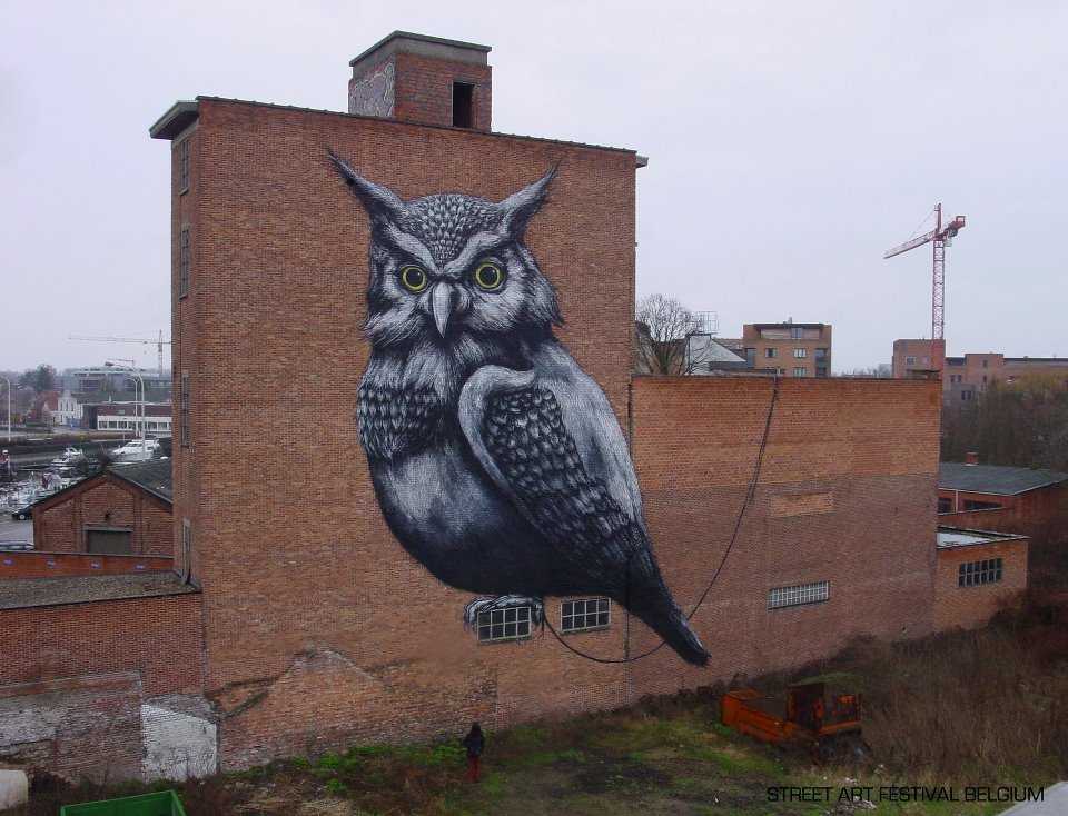 sweetalchemy:  paxmachina:  ROA - Brussels, Belgium  Owl perched on a window. 