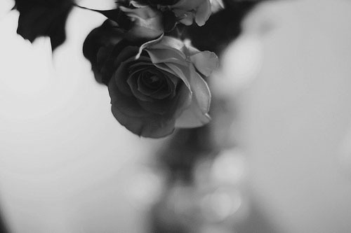 too weak to escape my storm of sorrows