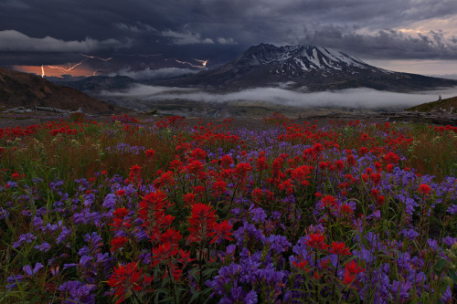 Mount St. Helens, Skamania County, Washington, USA (by Miles Morgan)