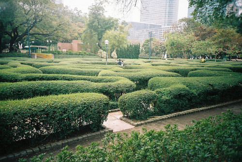 13neighbors:maze by davanita on Flickr.