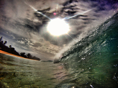 Shakalohawai'i.♥