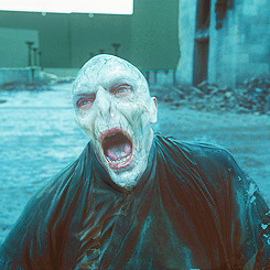 songofthestarwhale:  themartyrandme:  whovian-at-hogwarts:  brixtonsun:  yellow-eyebrow: