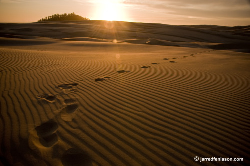 Sand dunes at sunset, Florence, Oregon